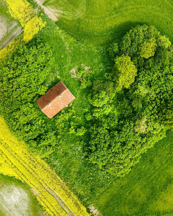 Formulations conscientes